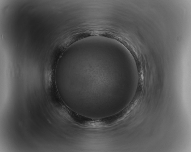 X0000087670219200705111204