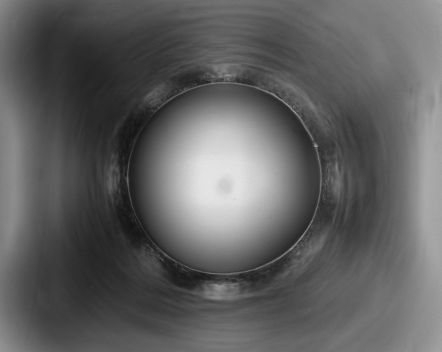 X0000087670220200705111204