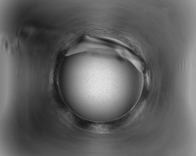 X0000087670221200705111204