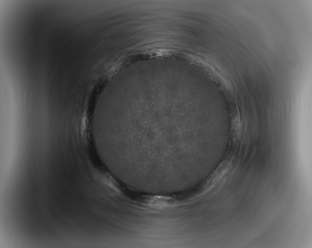 X0000087670222200705111204