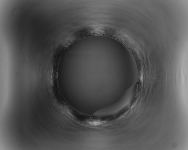 X0000087670223200705111204