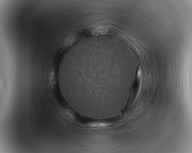 X0000087670224200705111204