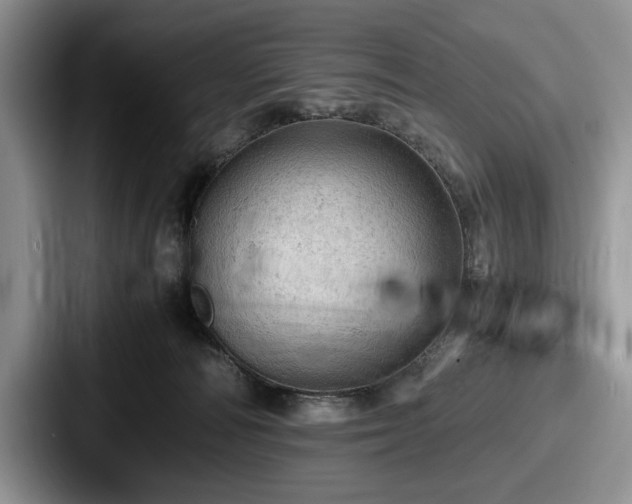 X0000087670226200705111204