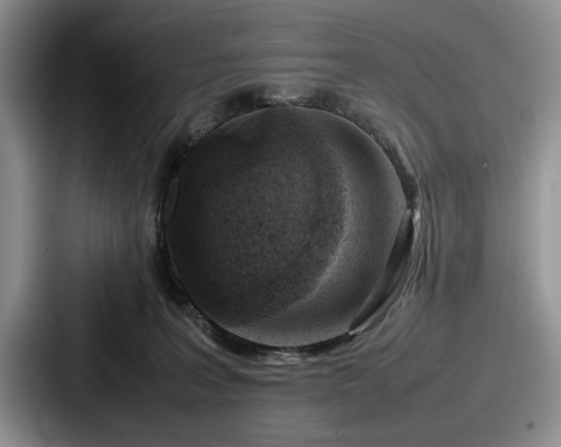 X0000087670227200705111204