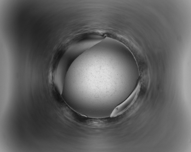 X0000087670229200705111204