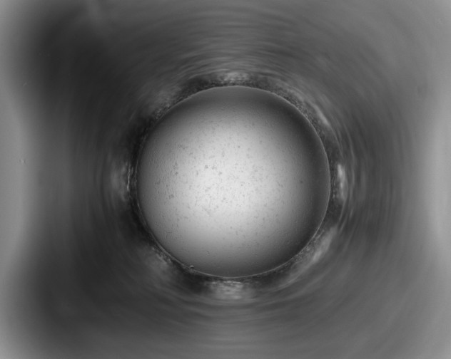 X0000087670230200705111204