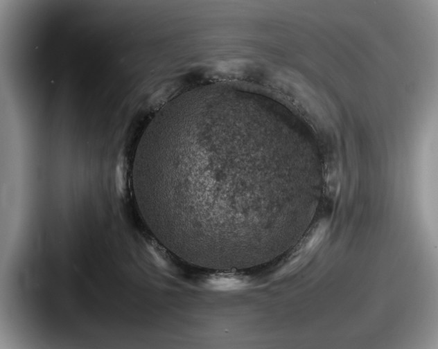 X0000087670231200705111204