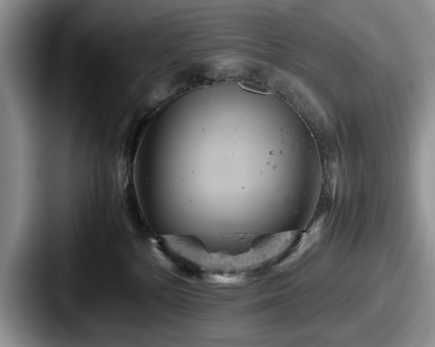 X0000087670232200705111204