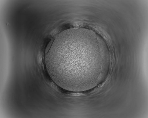 X0000087670233200705111204