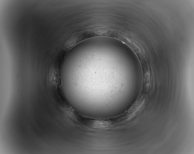 X0000087670234200705111204