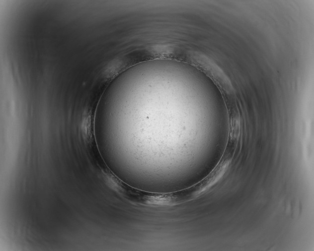 X0000087670238200705111204