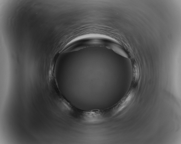 X0000087670239200705111204