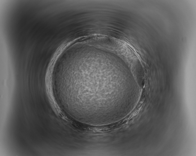 X0000087670241200705111203