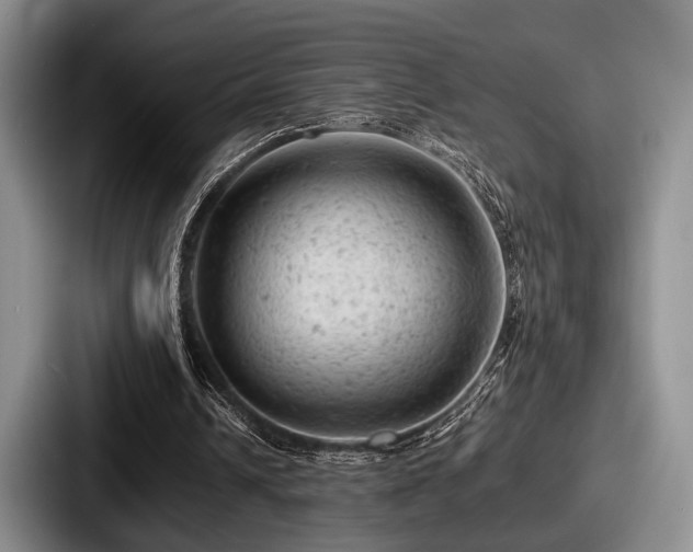 X0000087670242200705111203