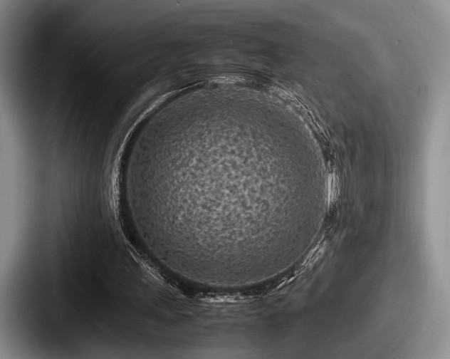 X0000087670243200705111203