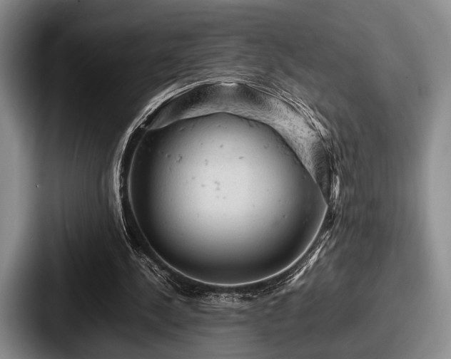 X0000087670244200705111203