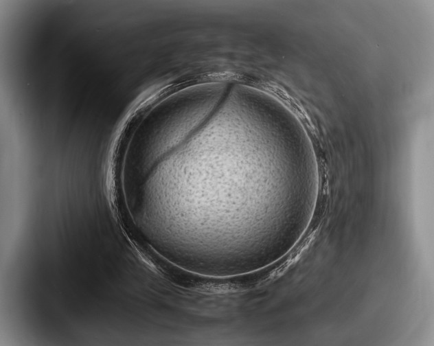 X0000087670245200705111203