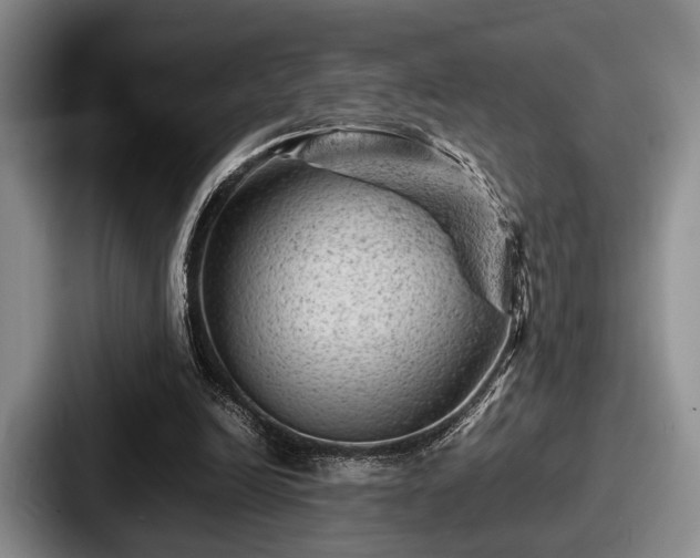 X0000087670246200705111203