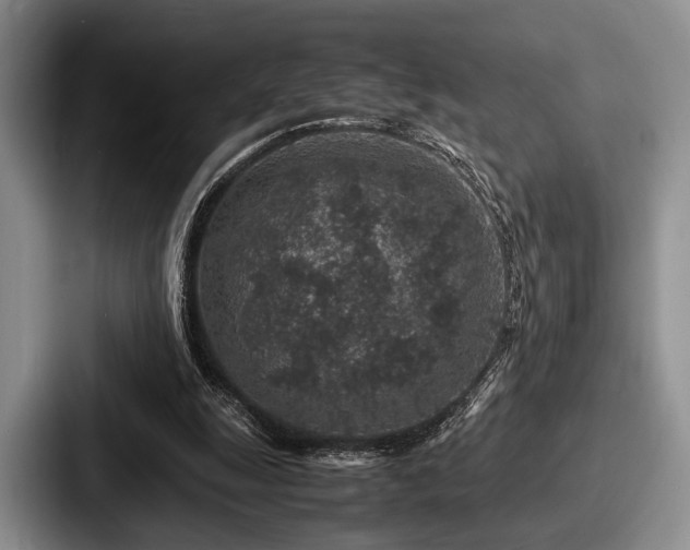 X0000087670247200705111203