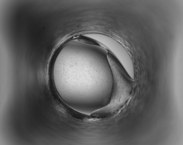 X0000087670248200705111203