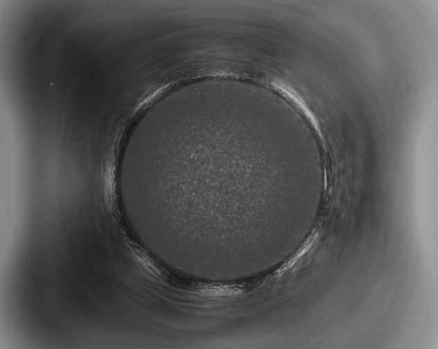 X0000087670249200705111203