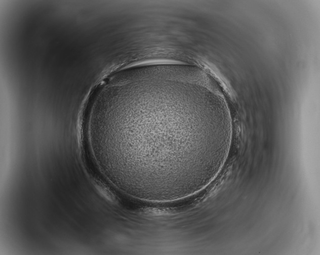 X0000087670250200705111203