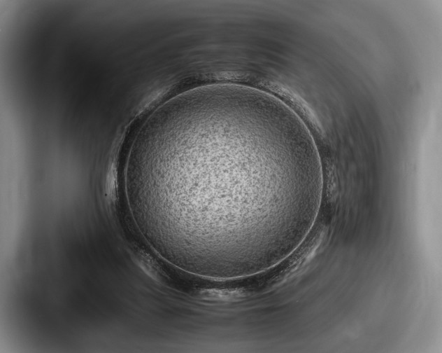 X0000087670251200705111203