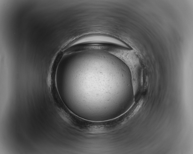 X0000087670252200705111203