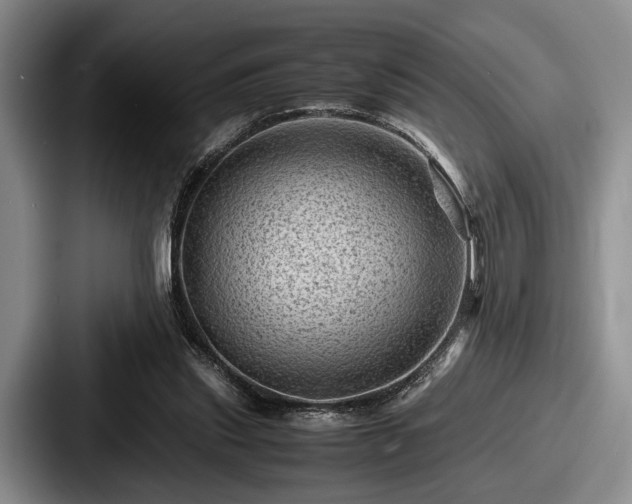 X0000087670253200705111203