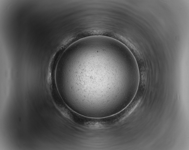 X0000087670254200705111203