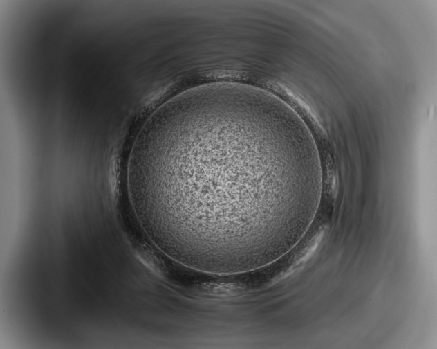 X0000087670255200705111203