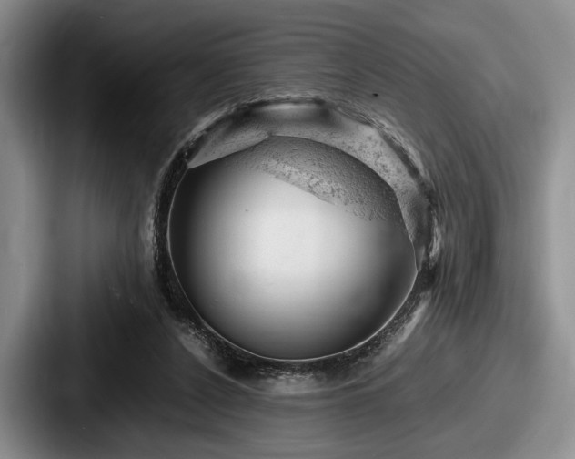 X0000087670256200705111203