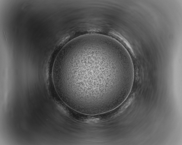 X0000087670257200705111203