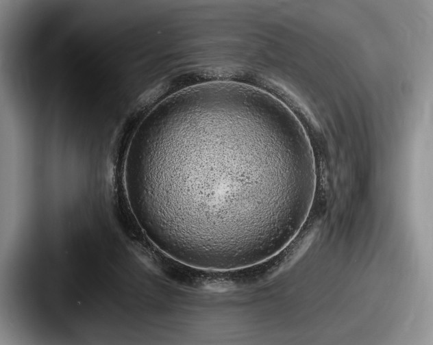 X0000087670258200705111203