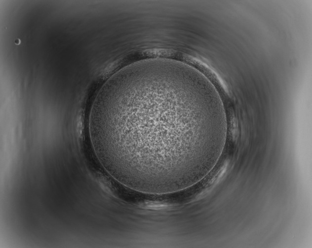 X0000087670259200705111203