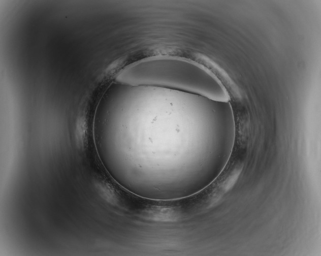 X0000087670260200705111203