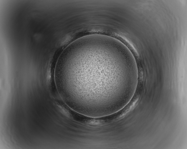 X0000087670261200705111203