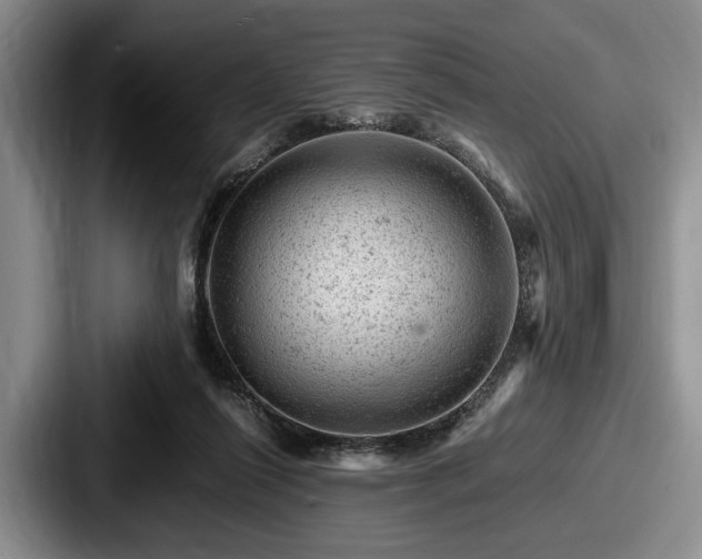 X0000087670262200705111203