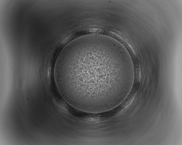 X0000087670263200705111203