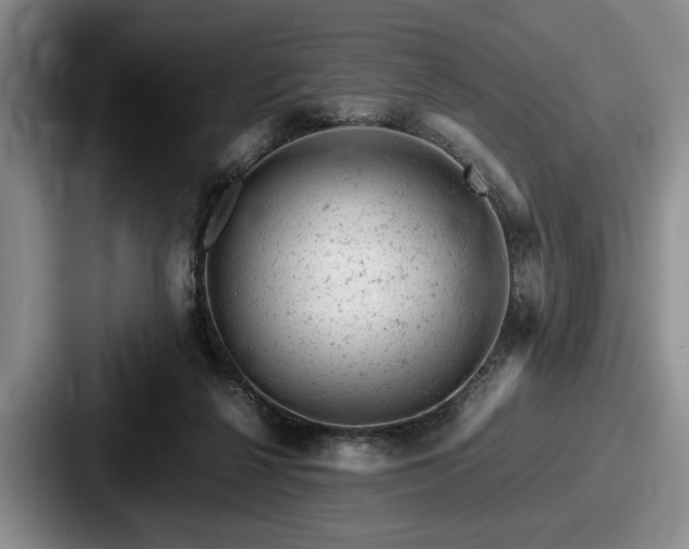 X0000087670264200705111203