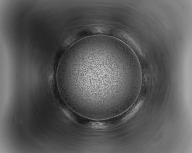 X0000087670265200705111203