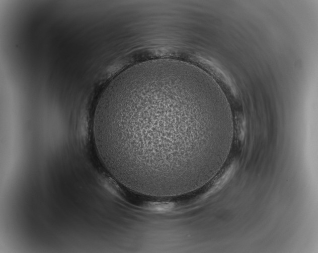 X0000087670266200705111203