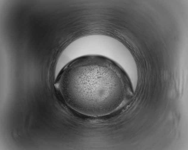 X0000087670268200705111203