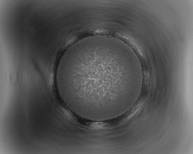 X0000087670269200705111203