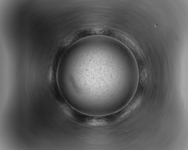 X0000087670270200705111203