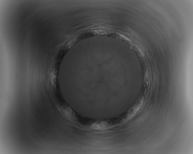 X0000087670271200705111203