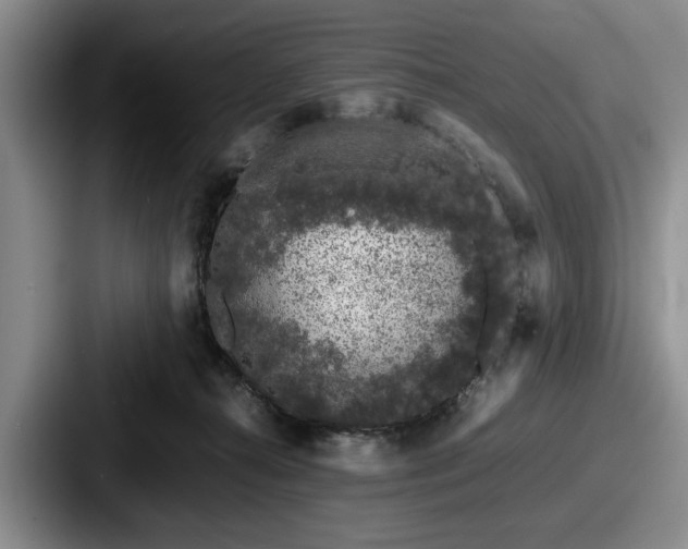 X0000087670272200705111203