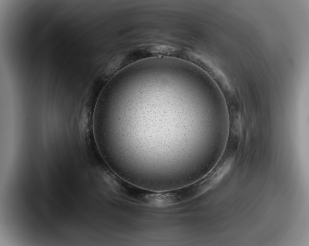 X0000087670273200705111203