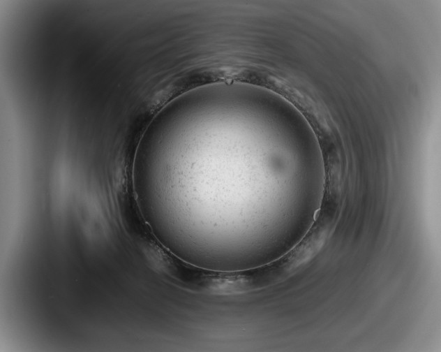 X0000087670274200705111203