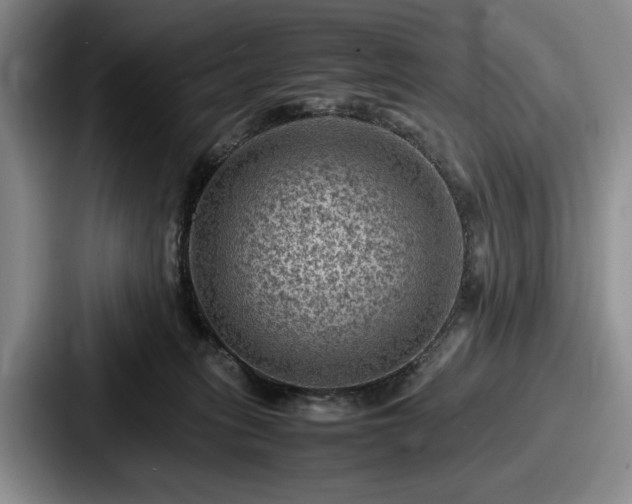 X0000087670275200705111203